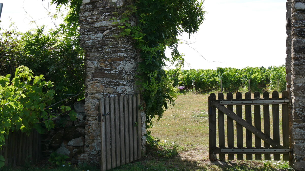 P1020863