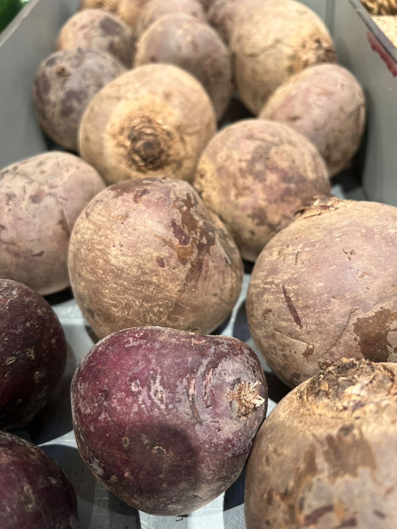 61E9FF5E-6265-4BCE-8B96-559F9ABC92CC