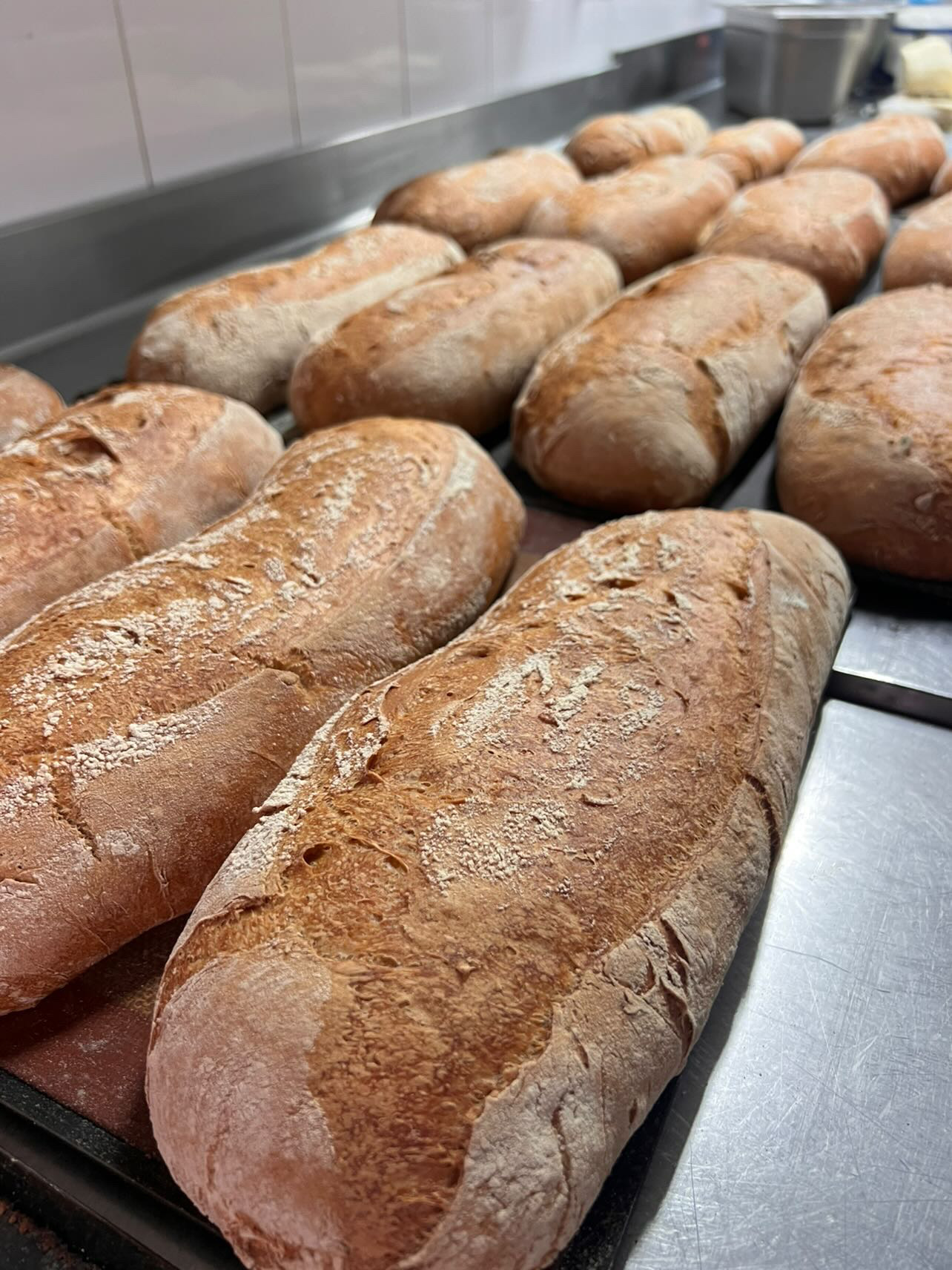 84A2BFEF-91E6-4EFA-8803-7F53F0377D7C